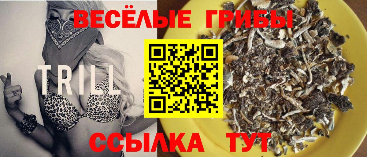 Галлюциногенные грибы Psilocybe  Вход с VPN  Алексин 